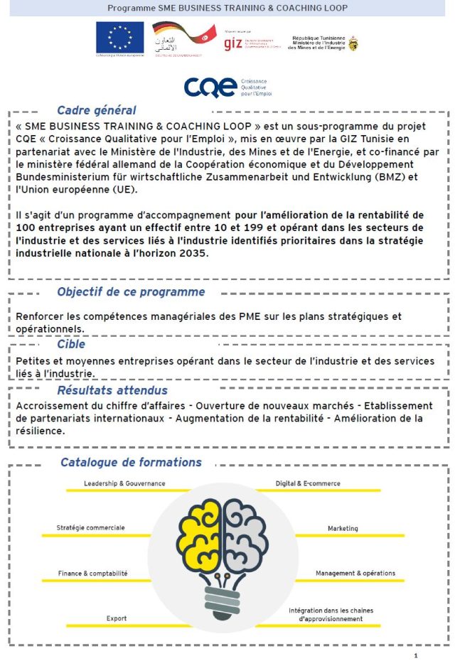 Call for applications: “SME BUSINESS TRAINING & COACHING LOOP”.