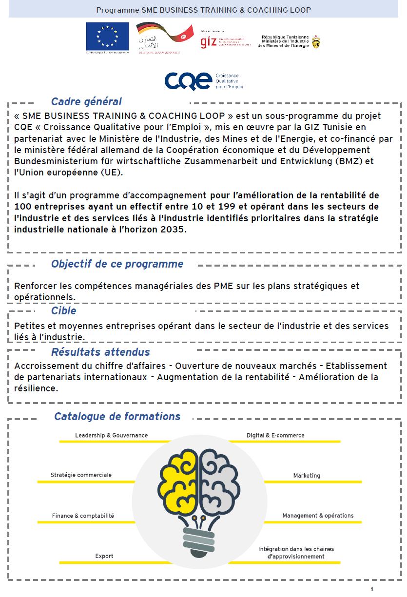 Call for applications: “SME BUSINESS TRAINING & COACHING LOOP”.